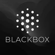 Blackbox AI - Cheap 3 Months Subscription